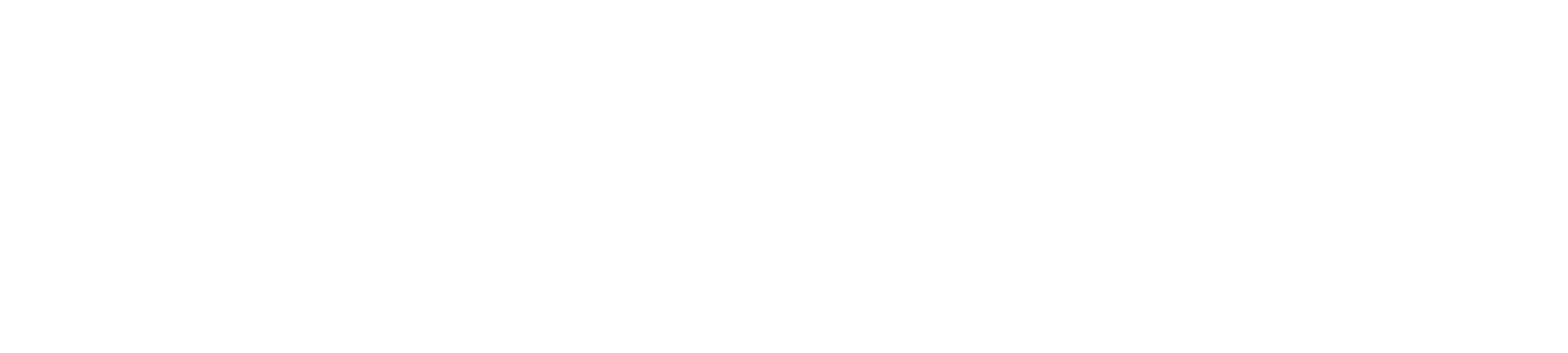 エイシン・ドローンサービス